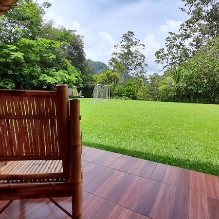 Hospedaje Amanecer Bed & Breakfast Turrialba Dış mekan fotoğraf